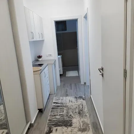 アパート Lazar Apartament ママイア